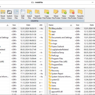 IntelliEdit v1.10
