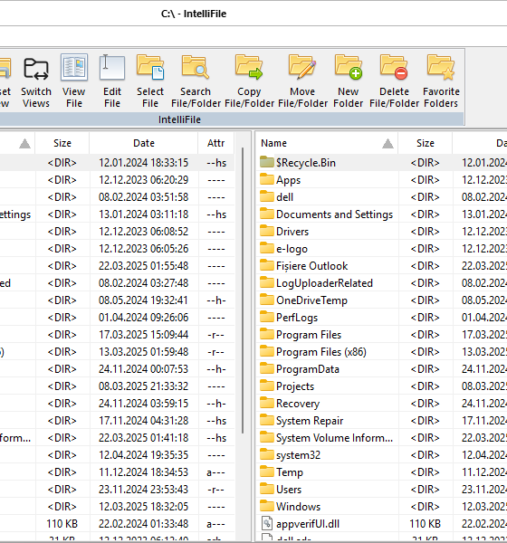 IntelliFile v1.39