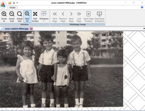 IntelliView v1.04